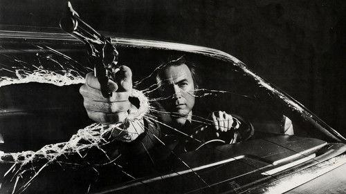 Purvinasis Haris 3 filmas žiurėti online