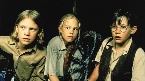 Pavojingas seklio Kalio Bliumkvisto gyvenimas filmas žiurėti online