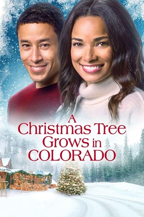 A Christmas Tree Grows in Colorado filmas online