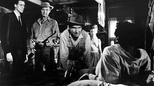 The Young One filmas žiurėti online