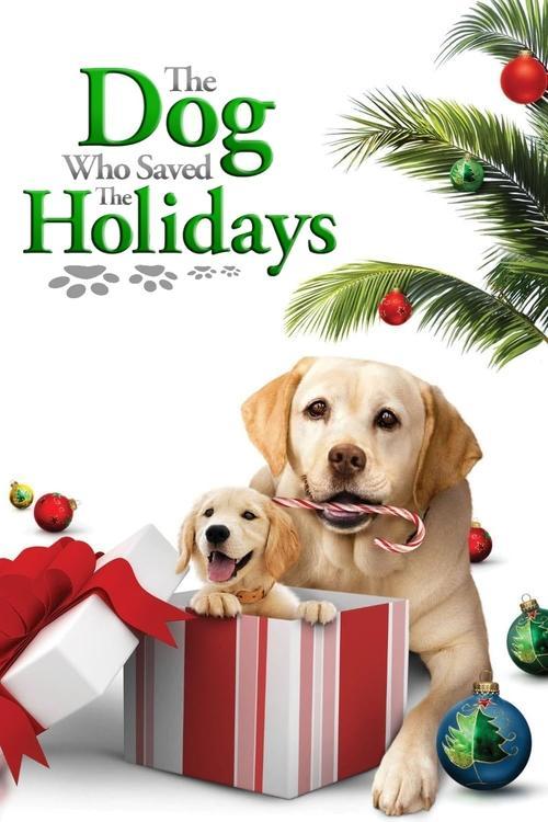 The Dog Who Saved the Holidays filmas online