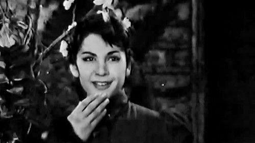 Blossoming Almond Tree filmas žiurėti online