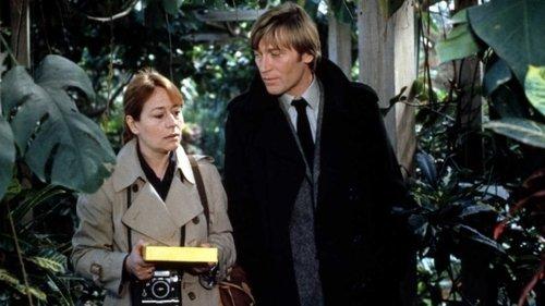 Focal Point filmas žiurėti online