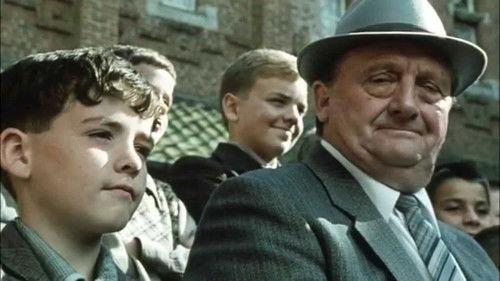 Olivetti 82 filmas žiurėti online