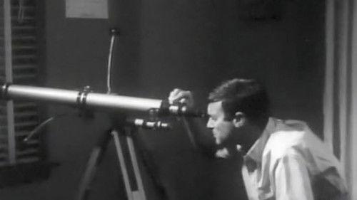 The Animal filmas žiurėti online