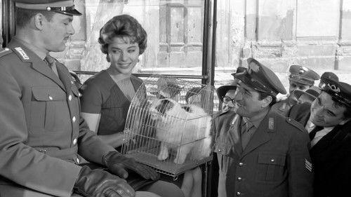 Tuppe tuppe, Marescià! filmas žiurėti online