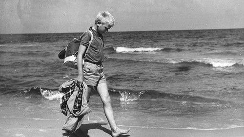 The Journey to Sundevit filmas žiurėti online