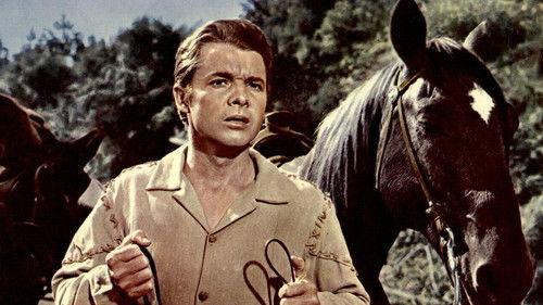 The Wild and the Innocent filmas žiurėti online