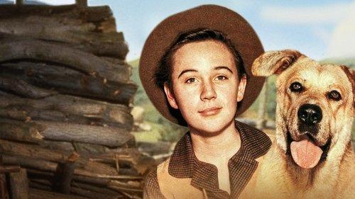 Old Yeller filmas žiurėti online