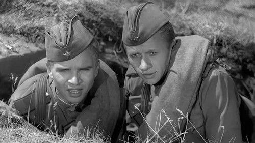 Maksim Perepelitsa filmas žiurėti online