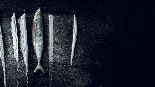 Maré Branca: A Surreal História de Rabo de Peixe filmas žiurėti online