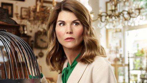 Garage Sale Mysteries: Searched & Seized filmas žiurėti online