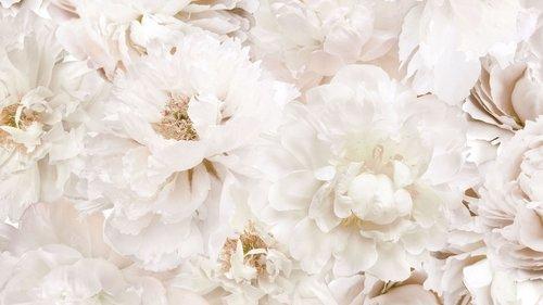 Deadly Vows filmas žiurėti online