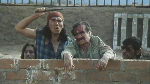 Reportaje a la muerte filmas žiurėti online