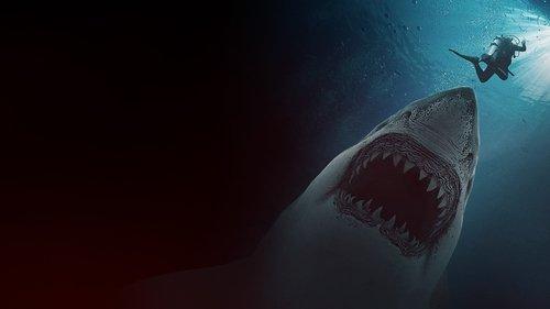 Great White Waters filmas žiurėti online