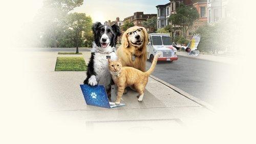 Katės ir šunys 3: Letenos vienijasi filmas žiurėti online