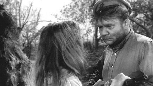 A Tale of Don filmas žiurėti online