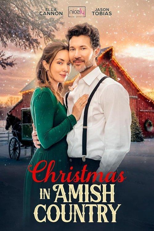 Christmas in Amish Country filmas online