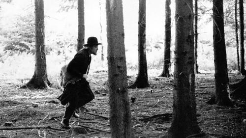 Der plötzliche Reichtum der armen Leute von Kombach filmas žiurėti online