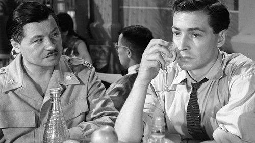 Extraordinary Accident filmas žiurėti online