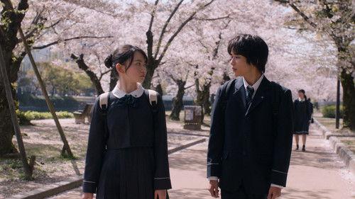 Homestay filmas žiurėti online