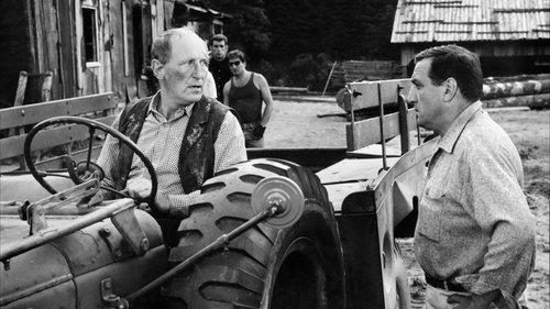 The Wise Guys filmas žiurėti online