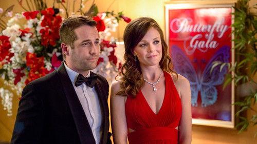 Stop the Wedding filmas žiurėti online