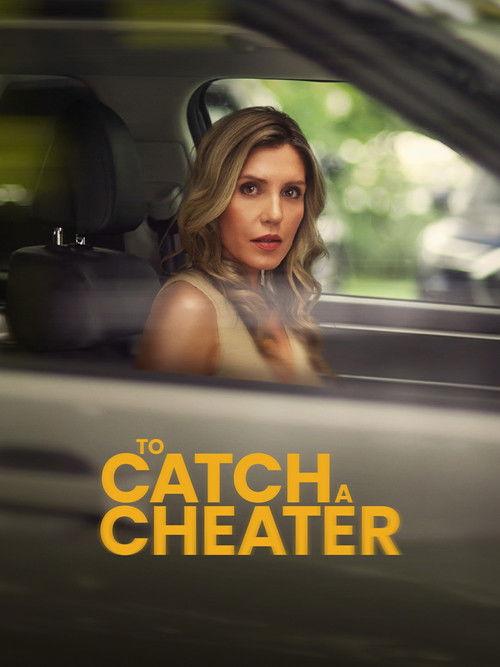 To Catch a Cheater filmas online