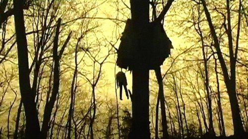 Head Trauma filmas žiurėti online