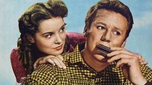 The Romance of Rosy Ridge filmas žiurėti online