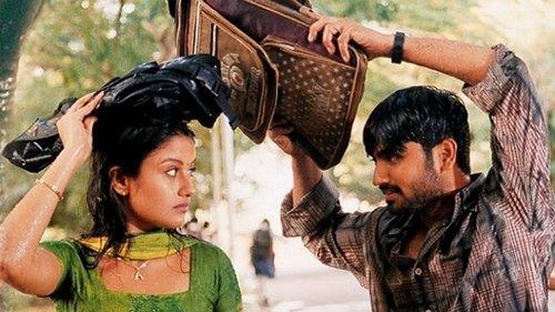 7G Rainbow Colony filmas žiurėti online