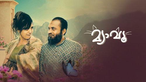 Meow filmas žiurėti online