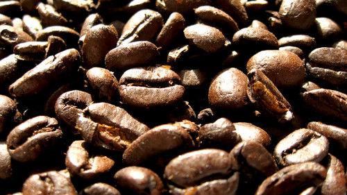 Black Coffee filmas žiurėti online