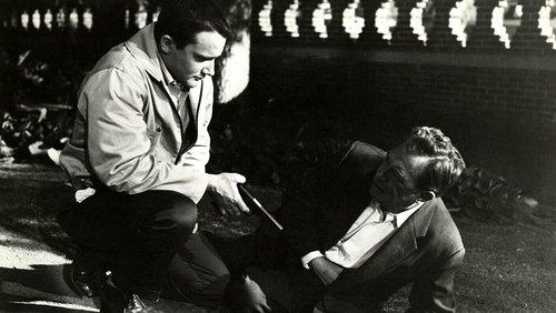 No Time to Be Young filmas žiurėti online