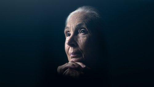 Jane Goodall: The Hope filmas žiurėti online