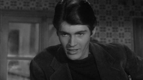 Wasteland filmas žiurėti online