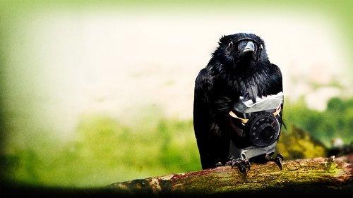 Four Lions filmas žiurėti online