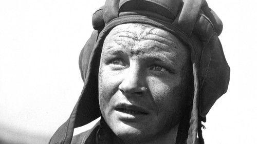 At War as at War filmas žiurėti online