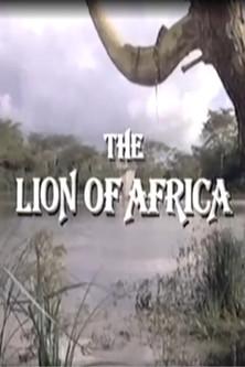 The Lion of Africa filmas online