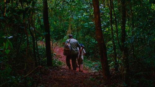 El silencio del cazador filmas žiurėti online