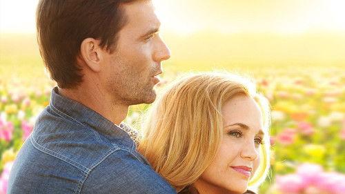 Tulips in Spring filmas žiurėti online