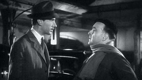 The Last Horse filmas žiurėti online