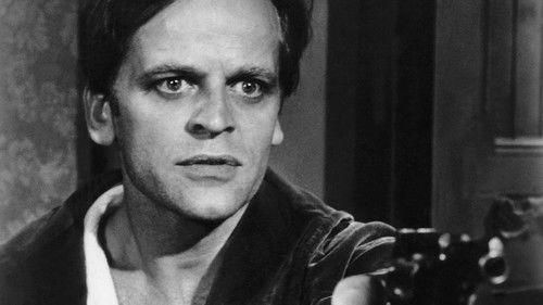 Das indische Tuch filmas žiurėti online