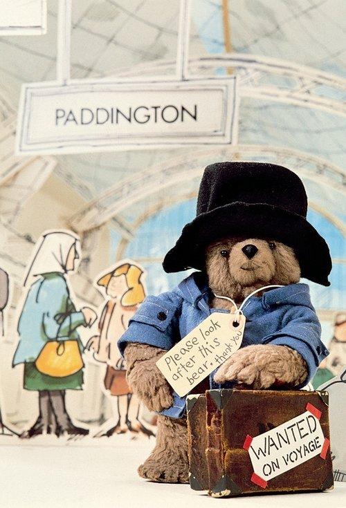 Paddington Bear filmas online