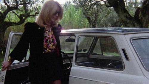 The Police Are Blundering in the Dark filmas žiurėti online