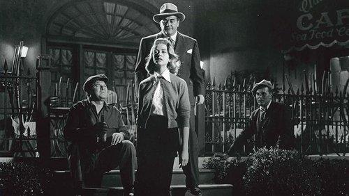 The Tarnished Angels filmas žiurėti online