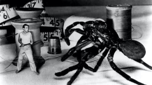 The Incredible Shrinking Man filmas žiurėti online