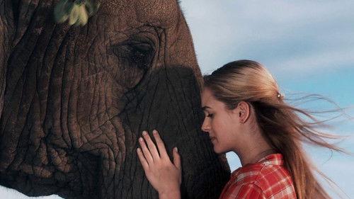 Sophie filmas žiurėti online