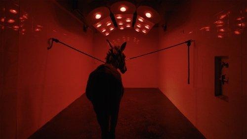 EO filmas žiurėti online