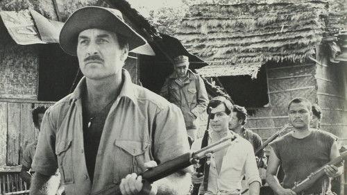 Warkill filmas žiurėti online